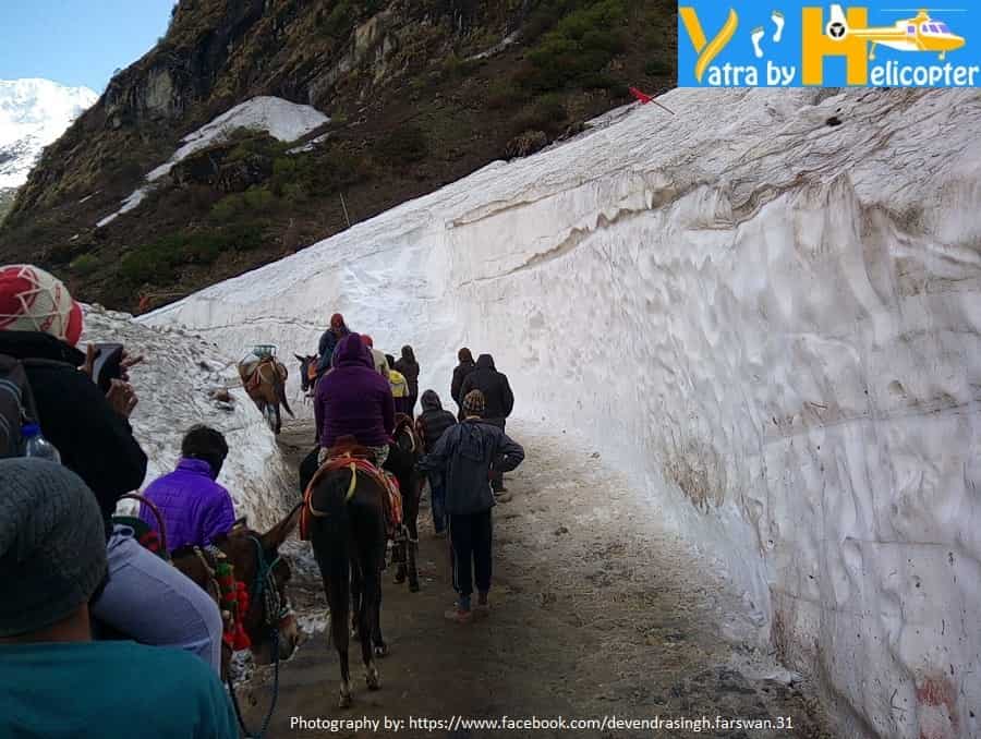 Kedarnath Trek - 2